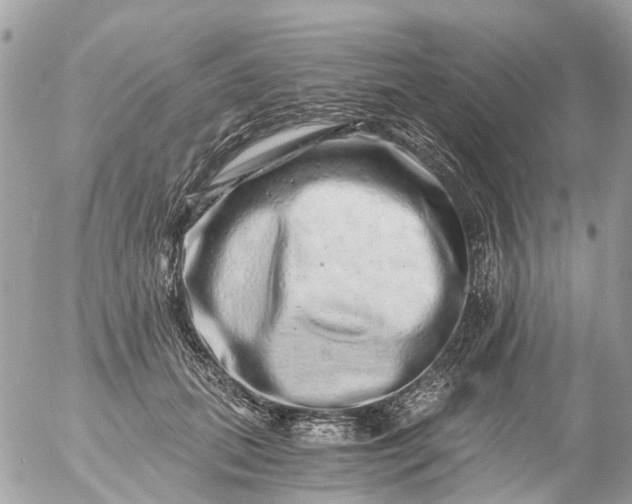 X0000056320655200509092304