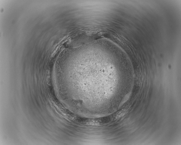 X0000056320656200509092304