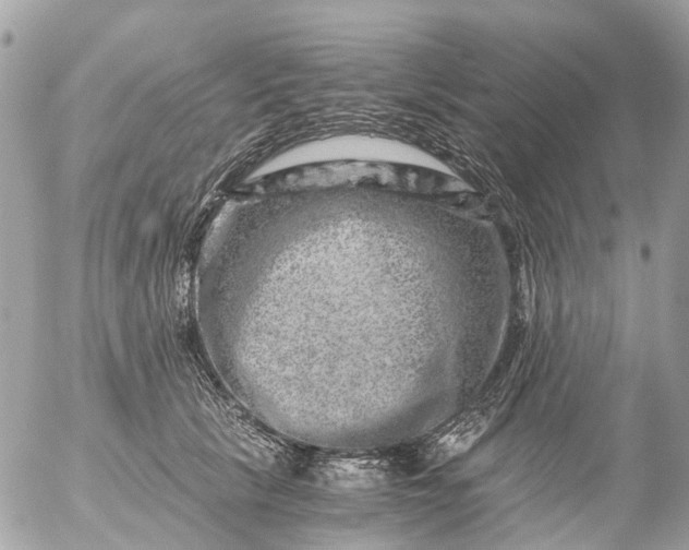 X0000056320657200509092304