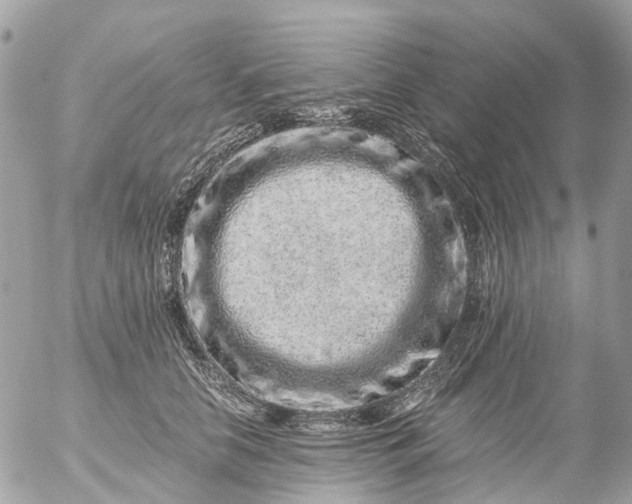 X0000056320658200509092304