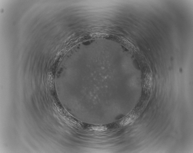 X0000056320659200509092304