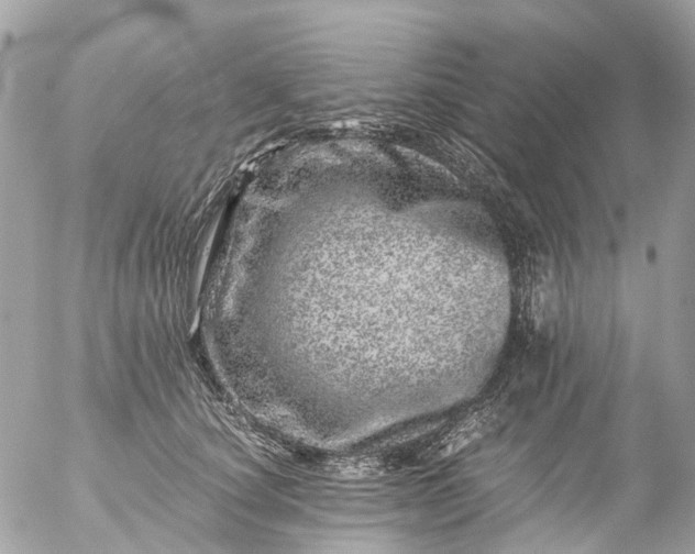 X0000056320660200509092304