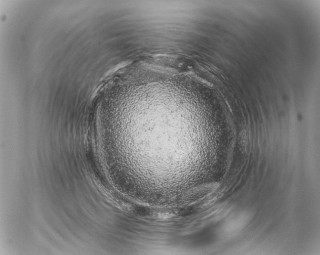 X0000056320662200509092304