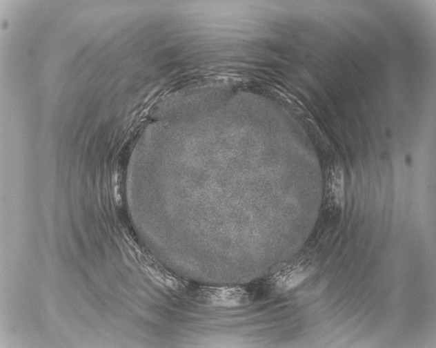 X0000056320663200509092304