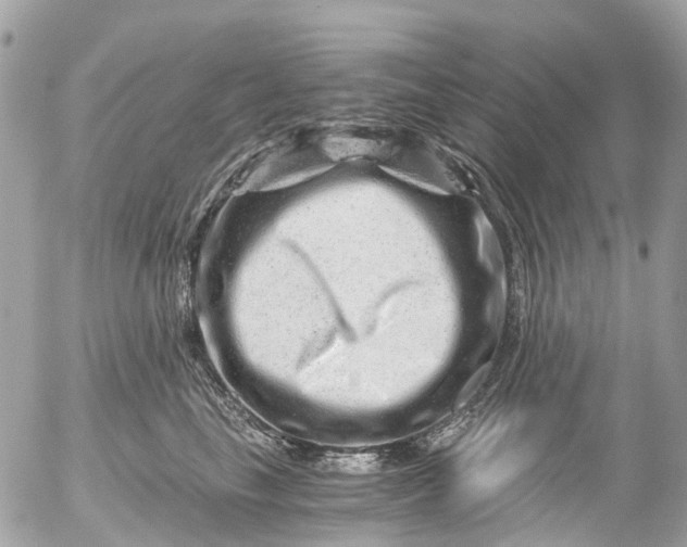 X0000056320665200509092304