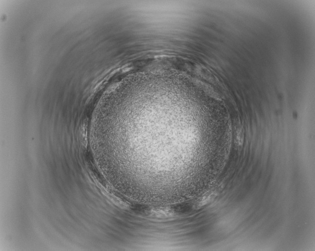 X0000056320666200509092304