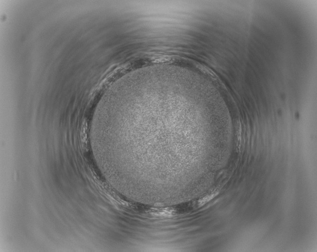 X0000056320667200509092304