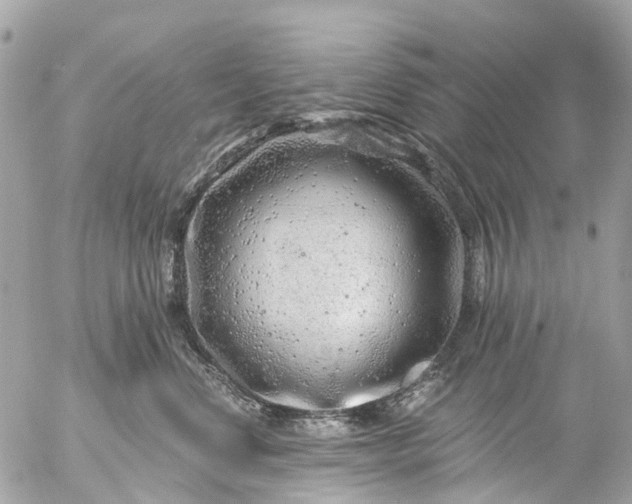 X0000056320668200509092304