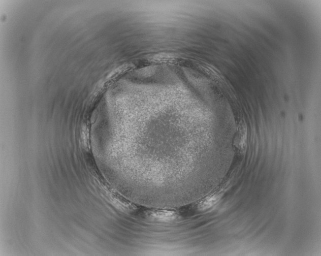 X0000056320669200509092304