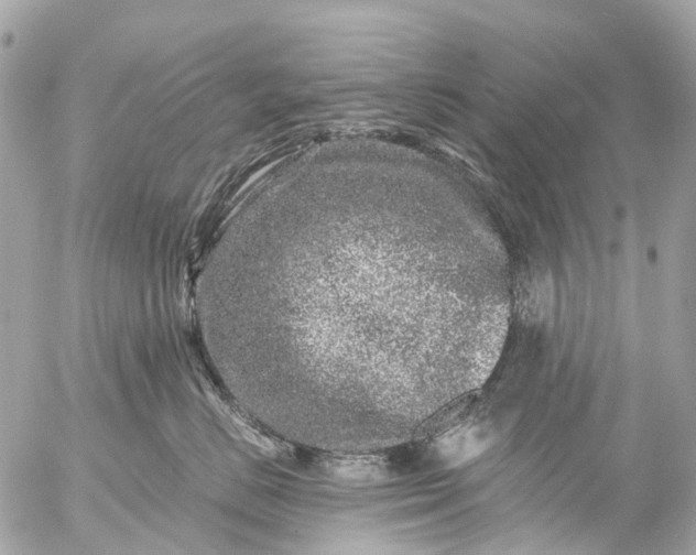 X0000056320670200509092304