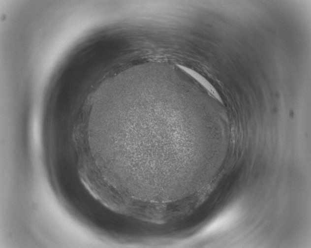 X0000056320671200509092304