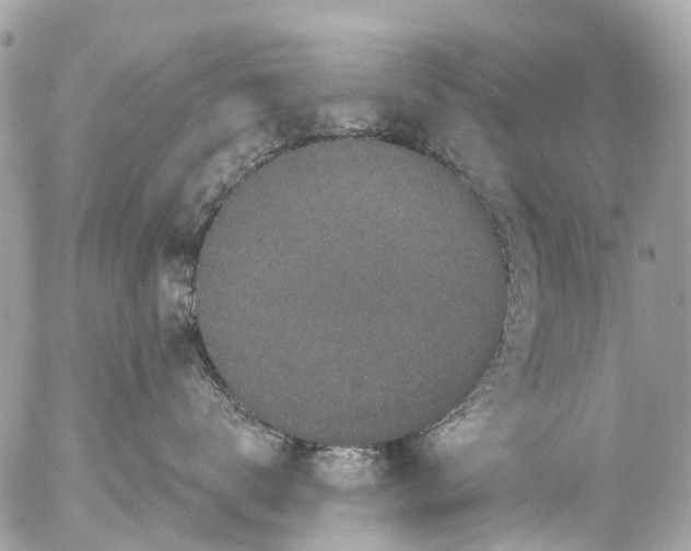 X0000056320672200509092304