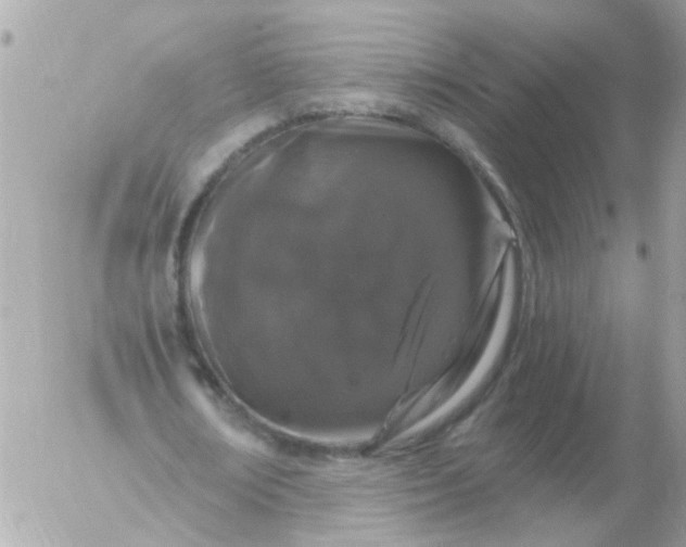 X0000056320674200509092303