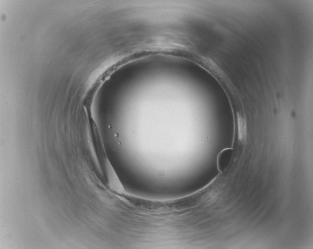 X0000056320675200509092303