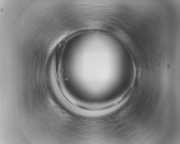 X0000056320676200509092303