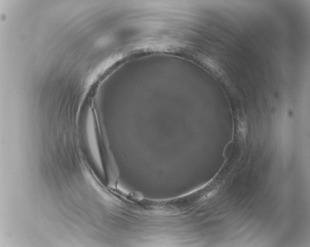 X0000056320678200509092303