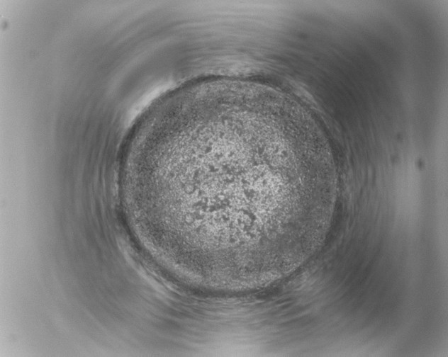 X0000056320679200509092303