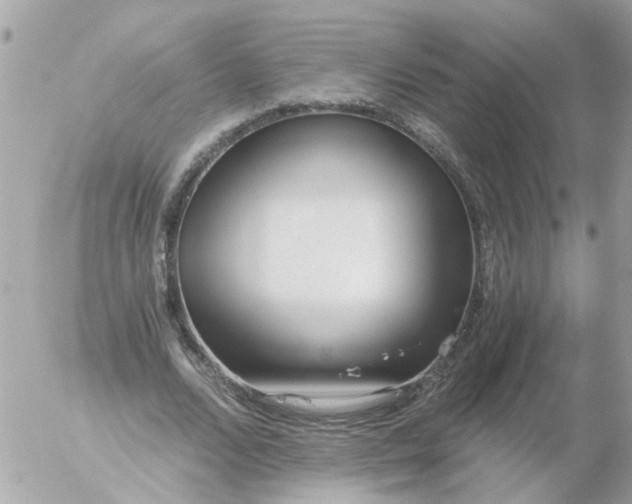 X0000056320680200509092303