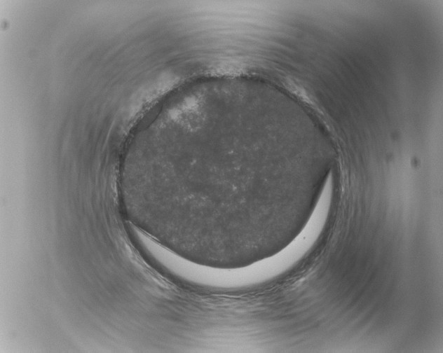 X0000056320681200509092303