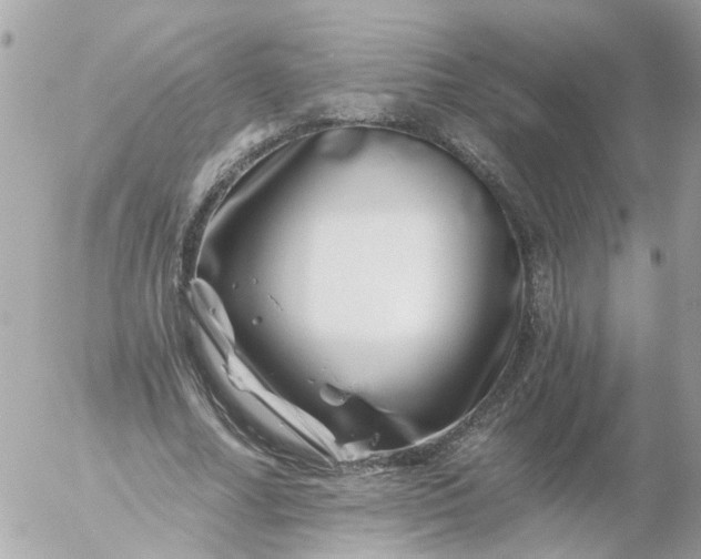 X0000056320682200509092303