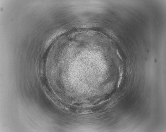 X0000056320683200509092303