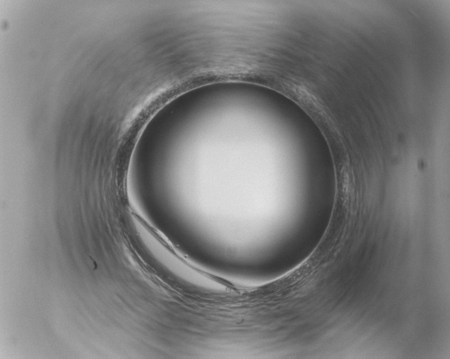 X0000056320684200509092303