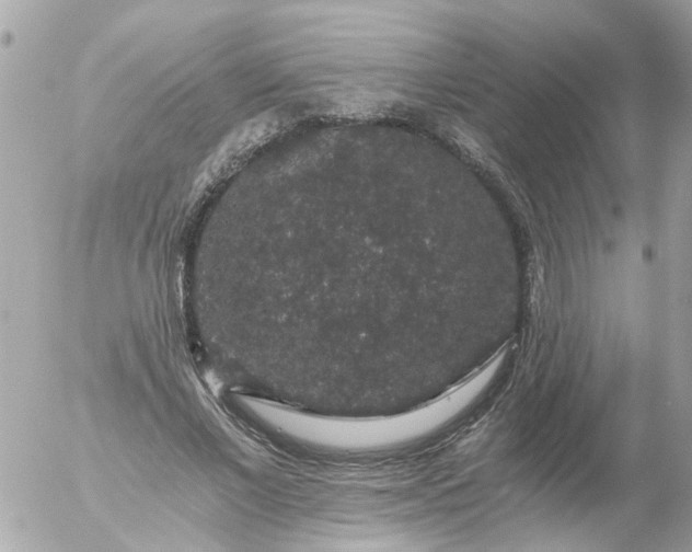 X0000056320685200509092303