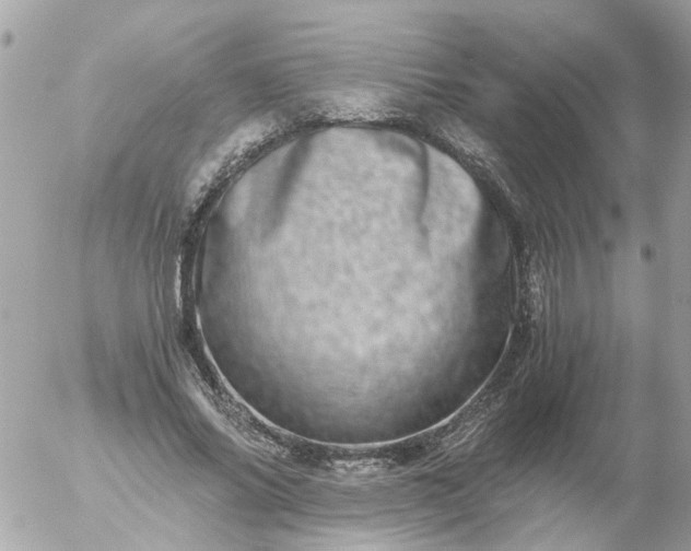 X0000056320686200509092303