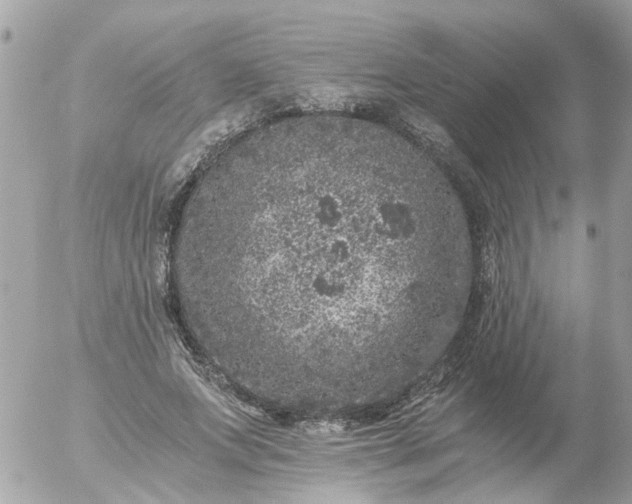 X0000056320687200509092303