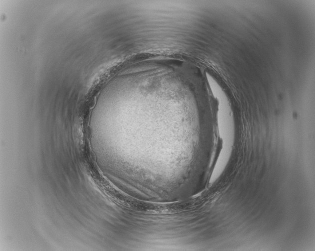 X0000056320688200509092303