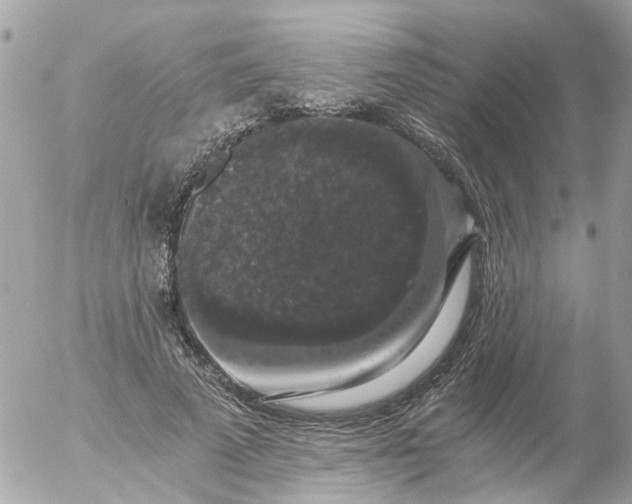 X0000056320689200509092303