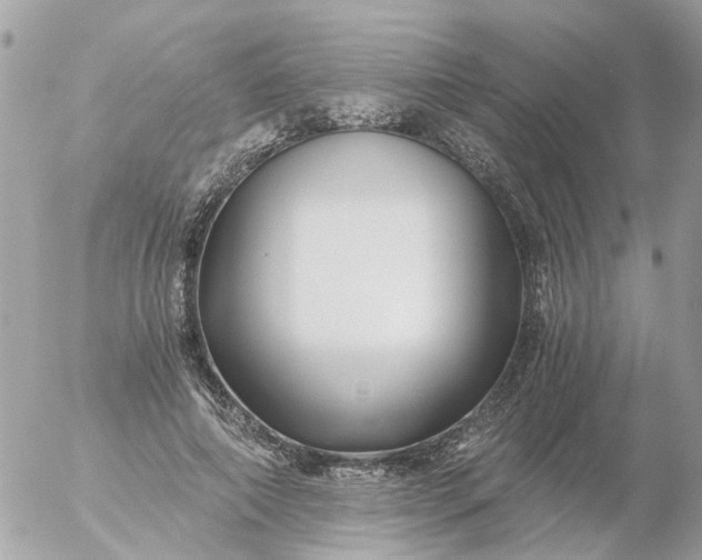 X0000056320690200509092303