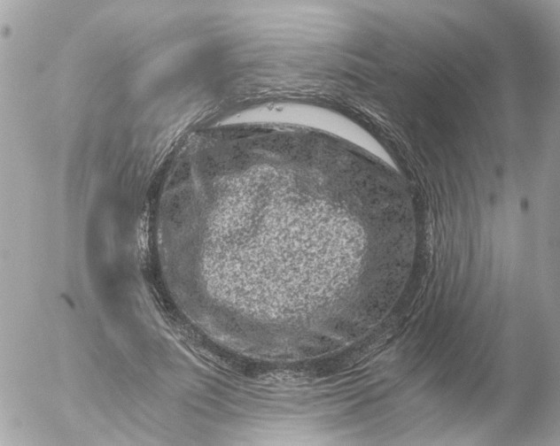 X0000056320691200509092303