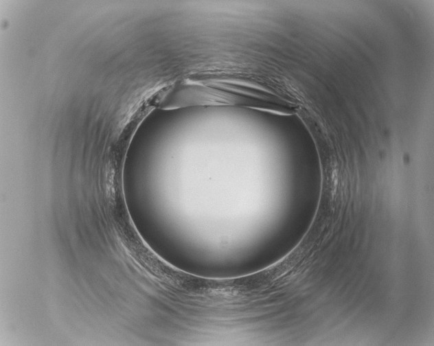 X0000056320692200509092303