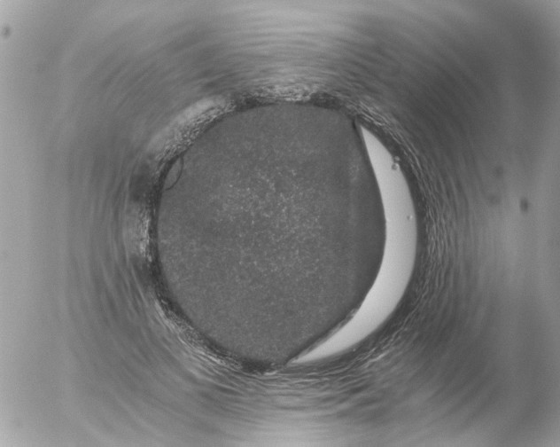 X0000056320693200509092303