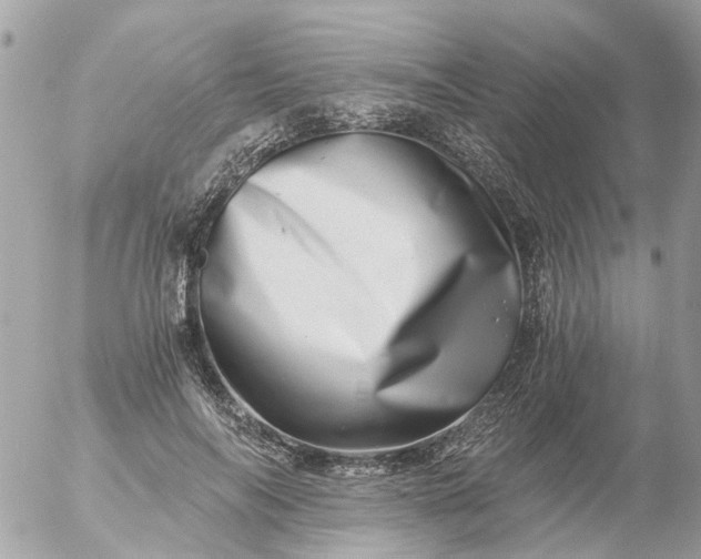 X0000056320694200509092303