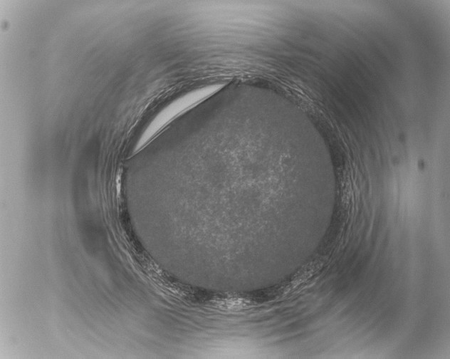 X0000056320695200509092303