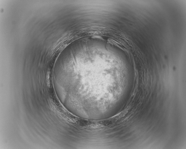 X0000056320696200509092303