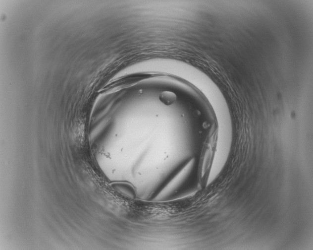 X0000056320697200509092303