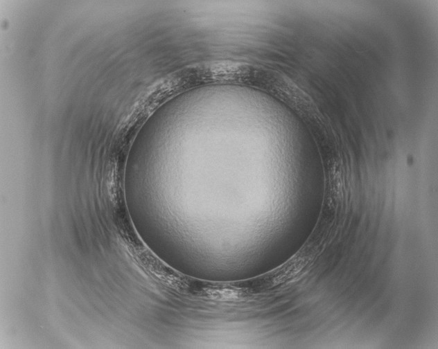 X0000056320698200509092303