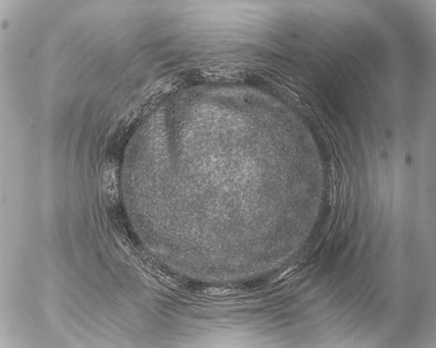 X0000056320699200509092303