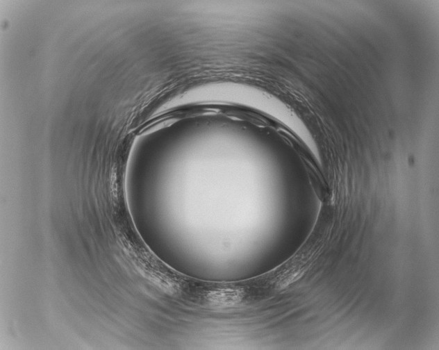 X0000056320700200509092303