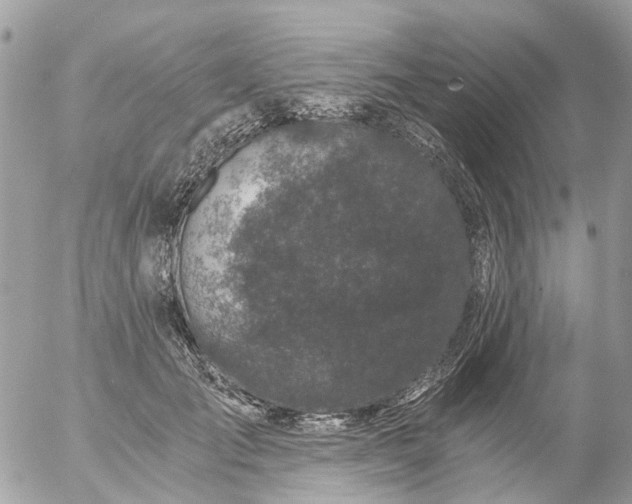 X0000056320701200509092303