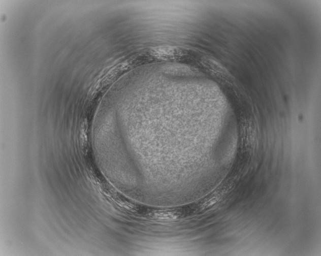 X0000056320702200509092303