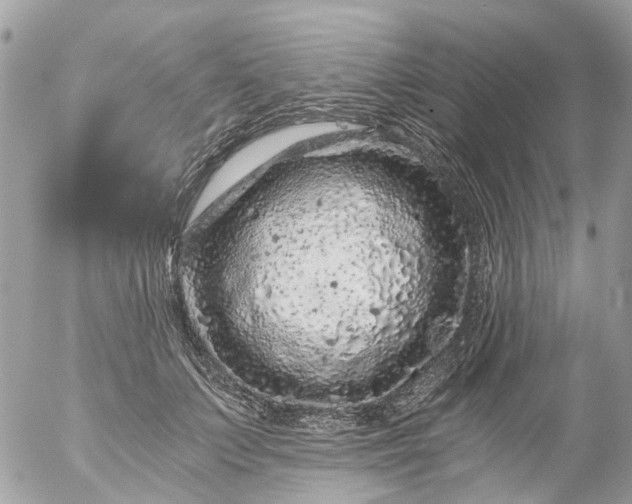 X0000056320703200509092303