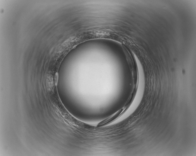 X0000056320704200509092303