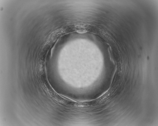 X0000056320706200509092303