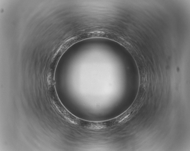 X0000056320708200509092303