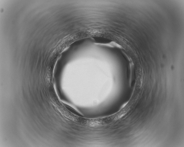 X0000056320710200509092303