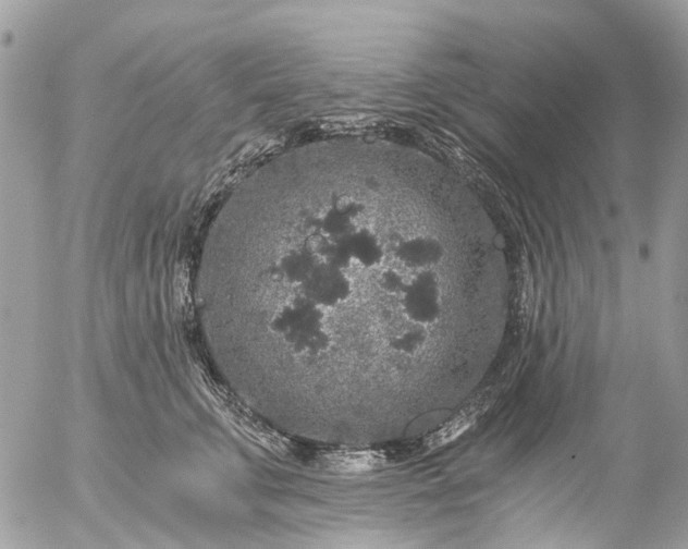 X0000056320711200509092303